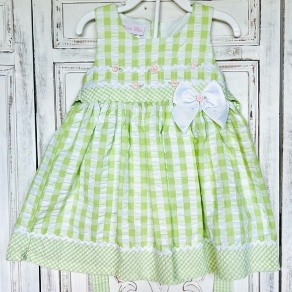 Bonnie Baby Other - Bonnie Baby - Green and White Gingham / Seersucker with Pink Rose Details Outfit